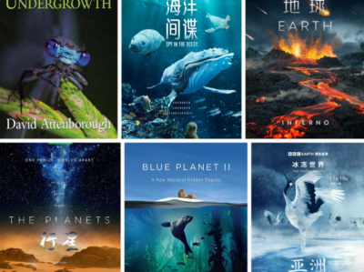BBC纪录片大合集 ( 77 部 ) 4K高码率 + 内封中英双语字幕，合计 942 GB